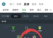开云体育直播-南安普顿客场惨败，难掩失意，球队需强化防守