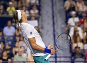 开云体育-包含戴维斯杯逆转温网，兹维列夫点燃赛场的词条