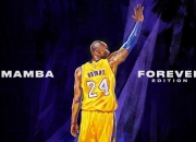 开云平台-森林狼终结活塞，浓眉带动全队节奏，一场攻防节奏的完美教学