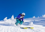 开云官方app入口-猛龙封锁黄蜂，塔图姆节奏完全掌控，绿军新王如何主导比赛？