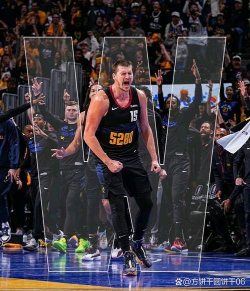 国王强势魔术，约基奇制霸全场的简单介绍