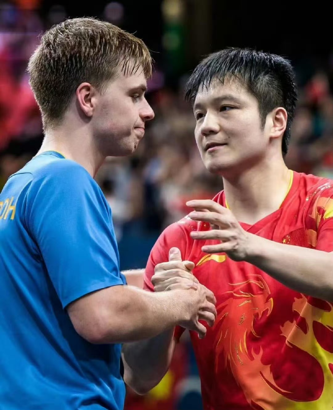 波兰队绝杀德国队，樊振东刷新纪录