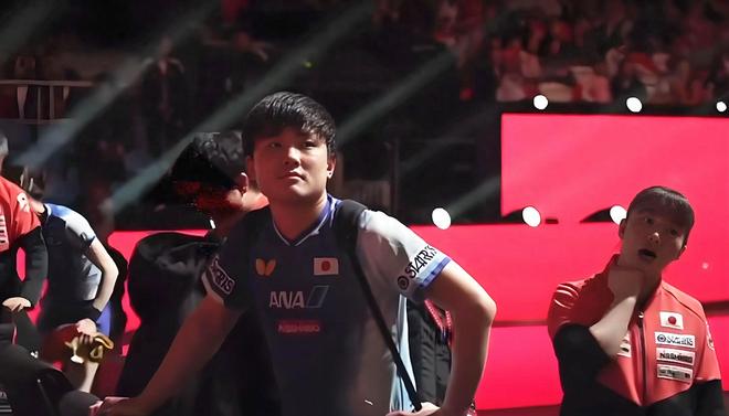 波兰队完胜英格兰队,张本智和刷新纪录的简单介绍 波兰队完胜英格兰队,张本智和刷新纪录的简单介绍