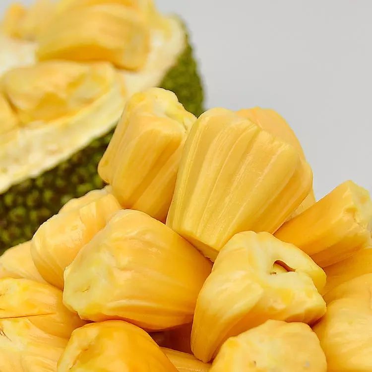 包含印尼队绝杀泰国队，黄鸭组合高光表现的词条