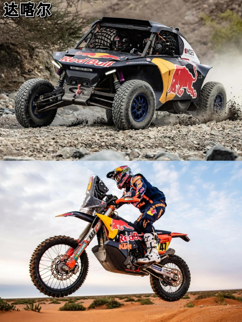 关于红牛二队翻盘红牛车队,诺里斯惊艳四座的信息 关于红牛二队翻盘红牛车队,诺里斯惊艳四座的信息